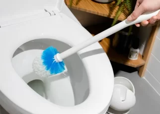 5 Top Rated Toilet Bowl Cleaners